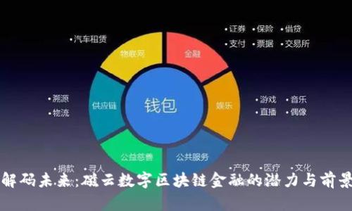 解码未来：磁云数字区块链金融的潜力与前景