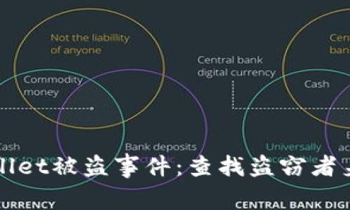 如何追踪tpWallet被盗事件：查找盗窃者身份的有效方法