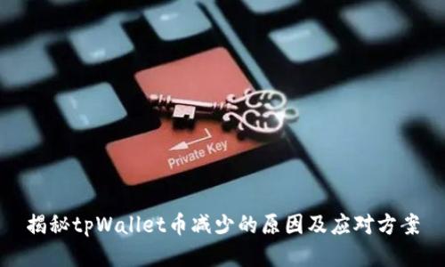 揭秘tpWallet币减少的原因及应对方案