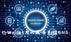 如何使用tpWallet用人民币充