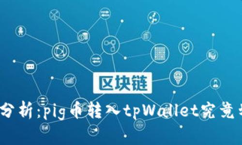 : 深入分析：pig币转入tpWallet究竟划算吗？