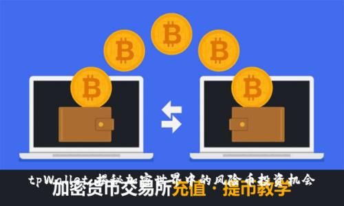 tpWallet：揭秘加密世界中的风险币投资机会