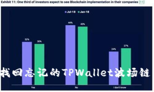 如何找回忘记的TPWallet波场链私钥？